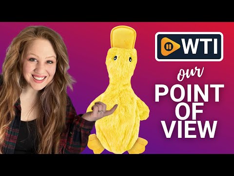 Best Pet Supplies Crinkle Dog Toy for Small - WTI product video review