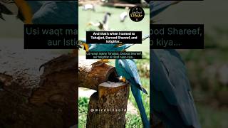 Download lagu My 12-Year Struggle Ended with Tahajjud & Istighfar ... A Real Miracle Story mp3