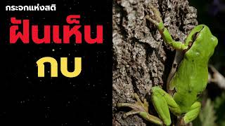 ฝันเห็นกบ