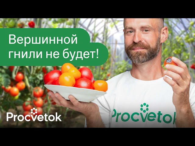 1 ЛОЖКА НА ВЕДРО ВОДЫ И ВЫ ЗАБУДЕТЕ О ВЕРШИННОЙ ГНИЛИ ТОМАТОВ И ПЕРЦЕВ! Чем подкормить томаты?