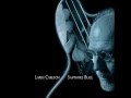 Larry Carlton - Take Me Down