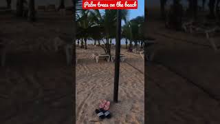 Explore the Mysterious Beauty of Cape Verde on a Beach Walkabout! #shorts