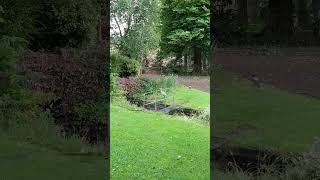 Hudson Mohawke - Chimes