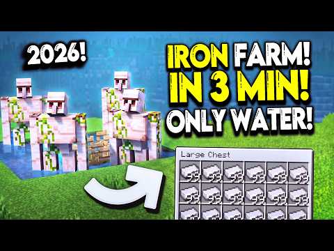 TheySix Farm 534