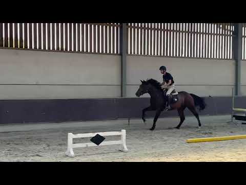 Video under the saddle