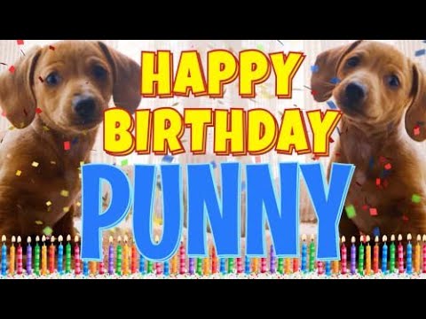 Happy Birthday Punny! ( Funny Talking Dogs ) What Is Free On My Birthday