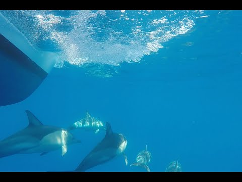 Sailing Vessel The Bottom Line - West to the Spencer Gulf