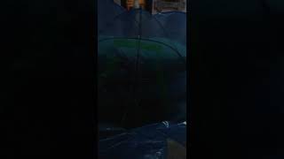 Download lagu krisna3 mp3