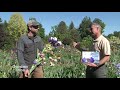 Schreiner's Iris Gardens
