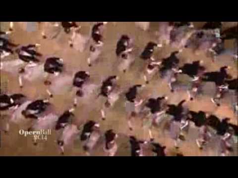 Opernball 2014 - Aufstellung zum Wiener Jubelgruß