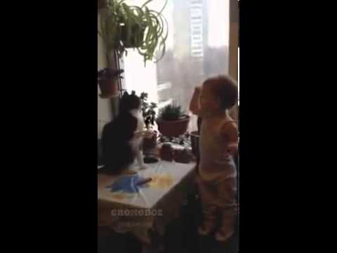 Mischievous Child vs Cat   So cute