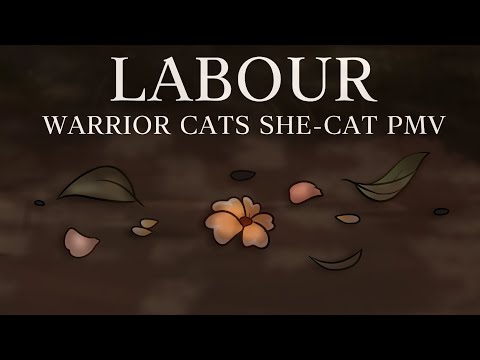 𝐋𝐀𝐁𝐎𝐔𝐑 ✦ 𝐖𝐀𝐑𝐑𝐈𝐎𝐑 𝐂𝐀𝐓𝐒 𝐏𝐌𝐕