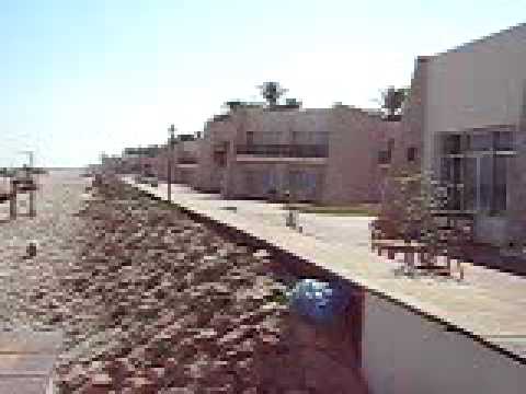 el-arish egypt  beach M