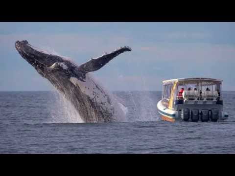 Fail 2016 - Sinnfrei