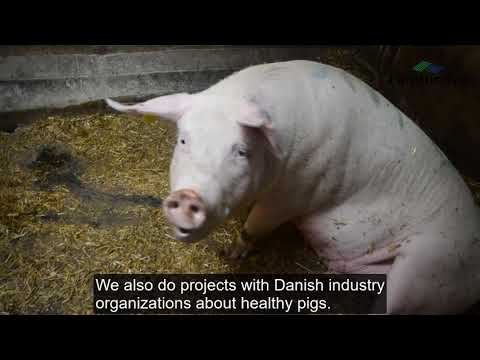 download lagu mp3 mp4 Agriculture Jobs In Denmark, download lagu Agriculture Jobs In Denmark gratis, unduh video klip Agriculture Jobs In Denmark