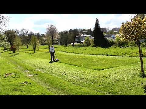 Stop Mowing Your Lawn   Convert your lawn to Trees and Shrubs