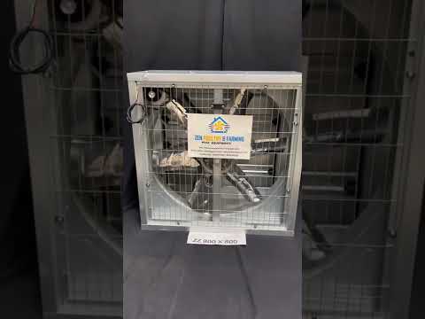 Silver electricity industrial poultry exhaust fan, hammer