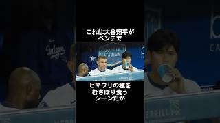 【衝撃】大谷翔平が変えたひまわりの文化とは⁉️#shorts #大谷翔平 #野球 #メジャーリーグ #ドジャース#ohtani#shoheiohtani