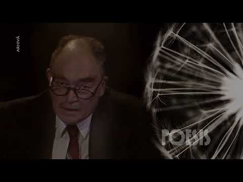 Poesis: Mircea Albulescu – Ora fântânilor de Ion Vinea (@Arhiva TVR)