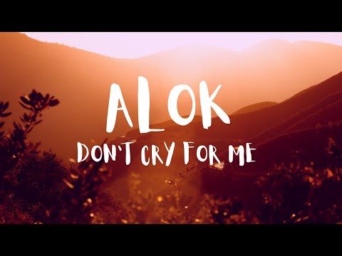 Alok, Martin Jensen, Jason Derulo - Don't Cry For Me (Lyrics)