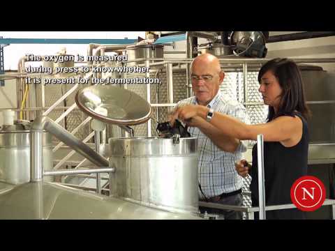 Nomasense - Testimonials - Giuseppe Meglioli