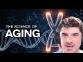 Longevity And Human Aging