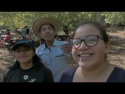 Cultivating youth social change leaders