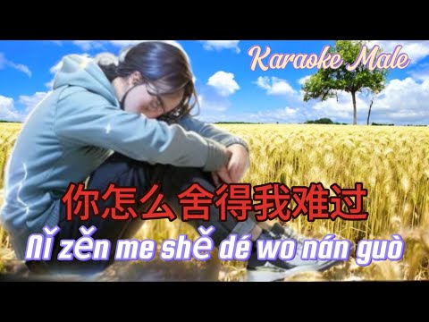 Ni Zen Me She De Wo Nan Guo _ Male Karaoke