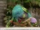 Sesame Street Trash Can Song