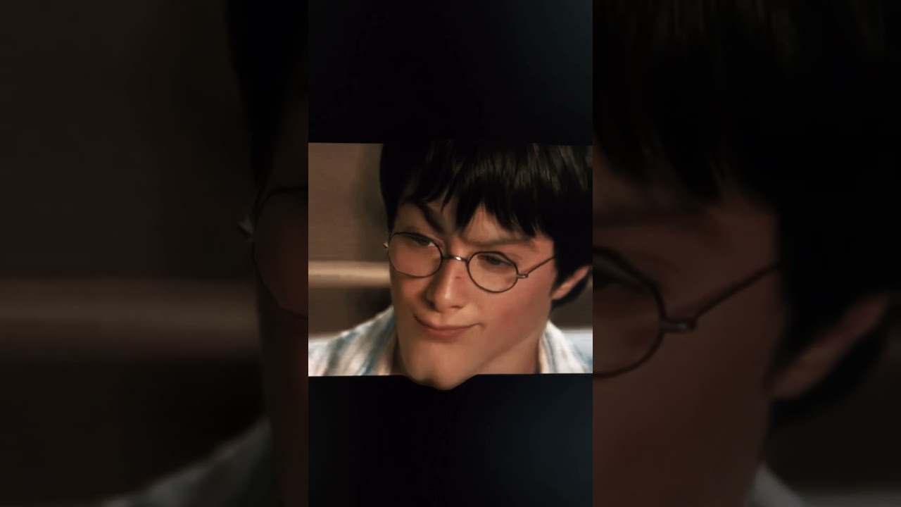 Giga chad sigma Harry Potter