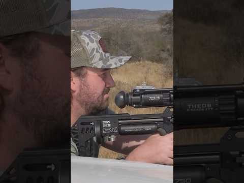 142 Meters: A CHIP SHOT for the FX Impact #hunting #airgunhunting