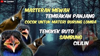 Download lagu MASTERAN MEWAH..!!!TEMBAKAN PANJANG TENGKEK BUTO SAMBUNG CILILIN !! mp3 Download lagu MASTERAN MEWAH..!!!TEMBAKAN PANJANG TENGKEK BUTO SAMBUNG CILILIN !! mp3