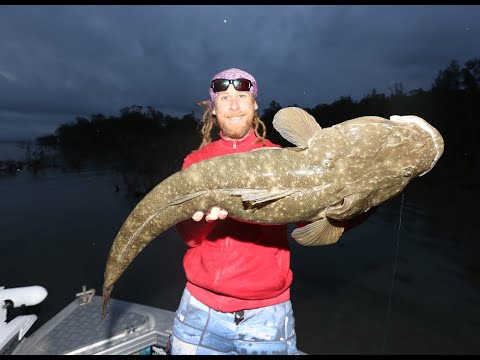 Monster dusky flathead release 97cm.