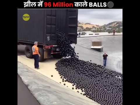Why 96 Million Balls In Lake? 😨