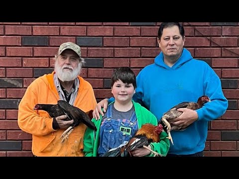 Beautiful Farm Xavier Rodriguez Tennessee USA - Nice Birds