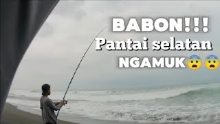 Download lagu BABON PANTAI SELATAN NGAMUK!!😱😱 tenagaya tak habis habis.. mp3