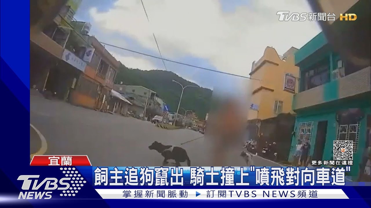 飼主追狗竄出 騎士撞上「噴飛對向車道」