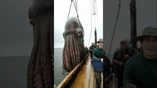 Music video thumbnail preview for Dive with Octopuses and Eels in 360 3D! | Our Blue PlanetVR | BBC Earth by Octopus Diver