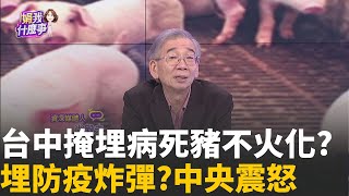 非洲豬瘟防疫炸彈! 中市府
