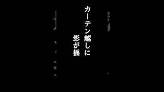 誰にも言えない不思議な話 #4｜窓の影