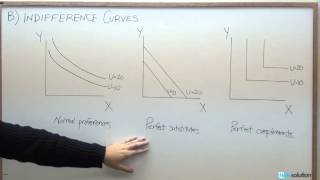 Microeconomics: Three Types of Indifference Curves