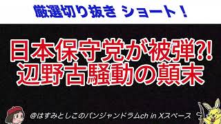 日本保守党が被弾⁈辺野古騒動の顛末