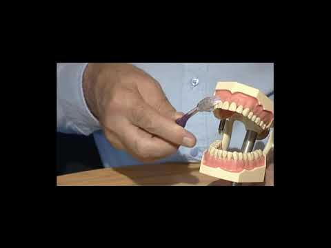 Master the Art of Brushing: Tips for a Healthy, Bright Smile!