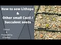 How To Sow Lithops and Other Small Cacti & Succulent Seeds