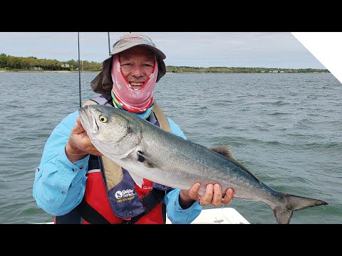 Top water blue fish action!