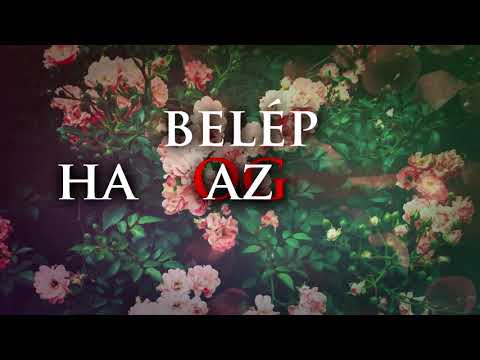 2030 DOGMA X MYERS - Bolond Rózsaszedés(Lyrics video)