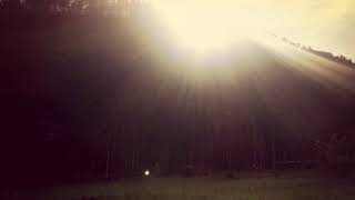 Download lagu Den basito (gajah kupu kupu) mp3