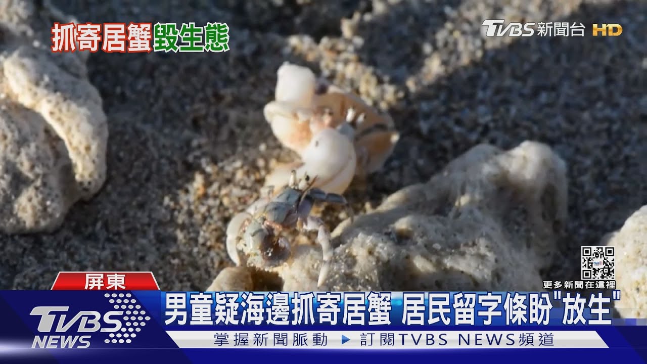別亂抓墾丁寄居蟹!居民留字條盼放生 墾管處:最重罰30萬