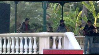 hojas de papel. Miguel campello  elche