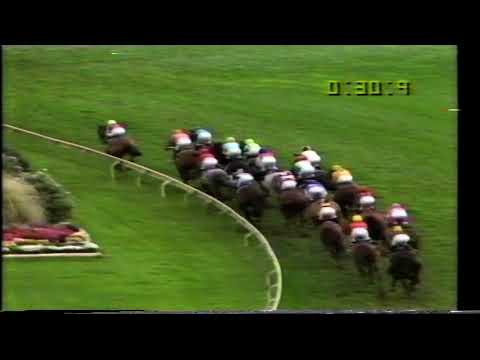 1992 Caulfield Cup ABC Greg Miles